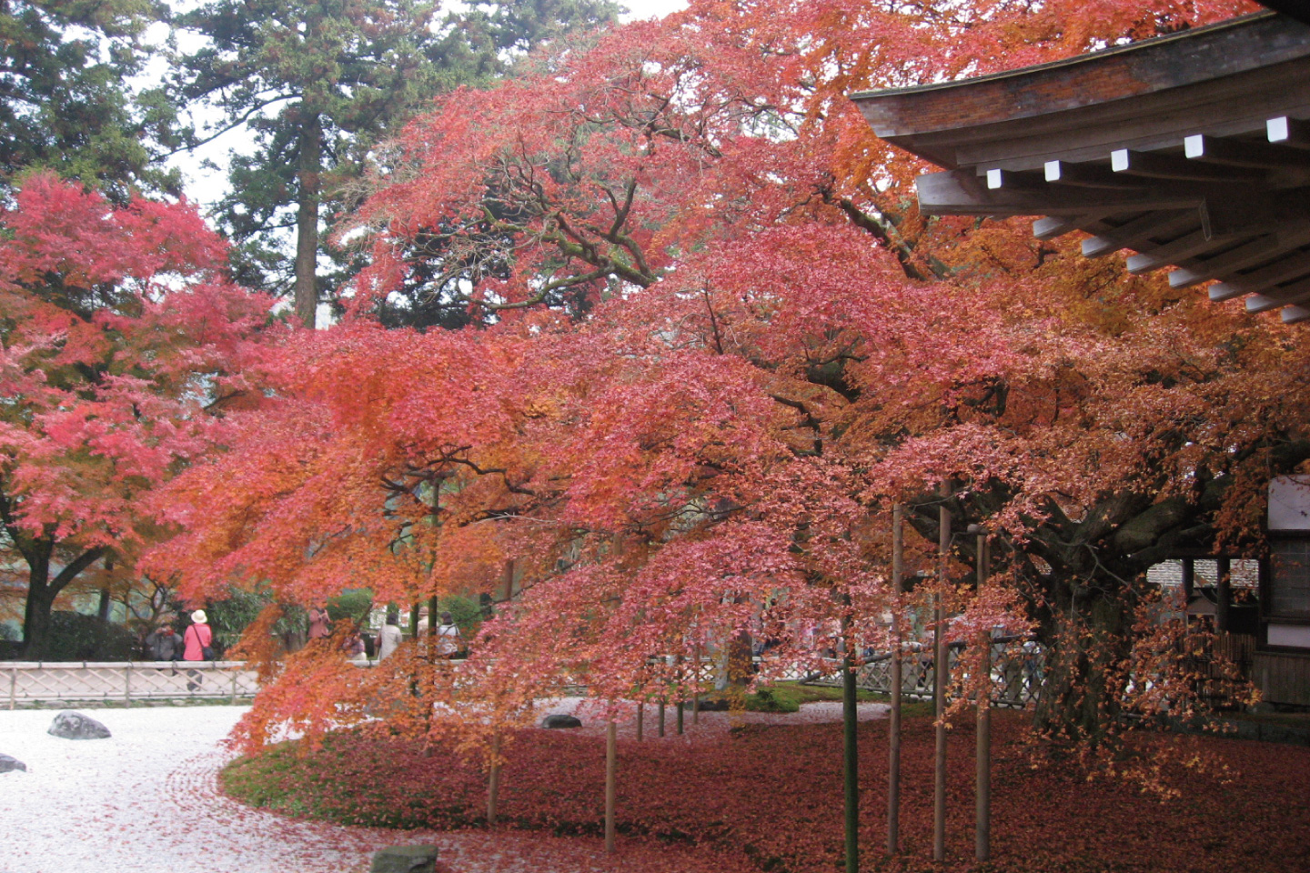 雷山千如寺大悲王院の紅葉