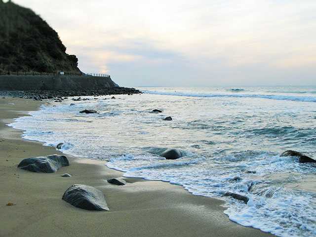 だから糸島の海はきれいなのですね。